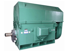 220KWY系列6KV高压电机